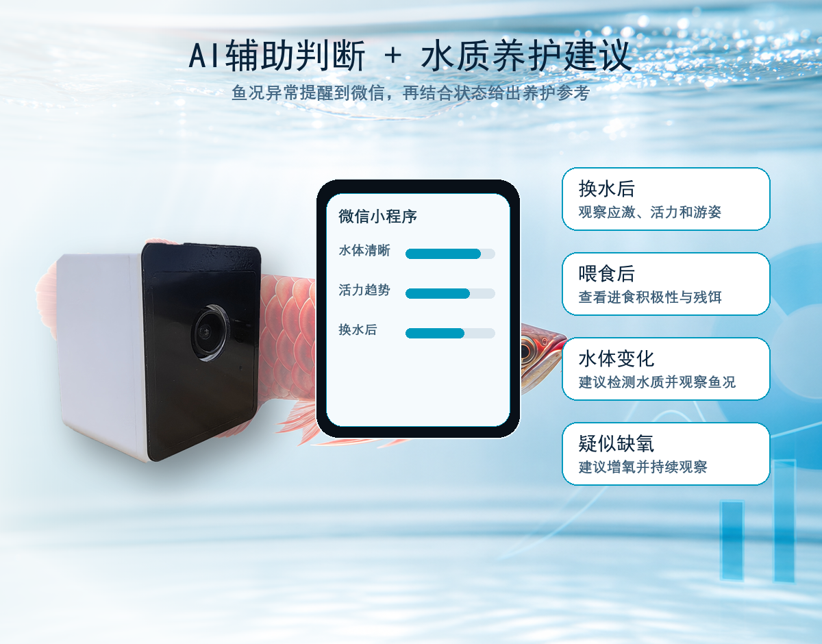 AI龙鱼摄像头AI辅助判断和水质养护建议说明图